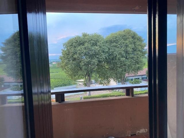 10 Minuti Dal Lago Di Garda E Da Gardaland Castelnuovo del Garda Buitenkant foto
